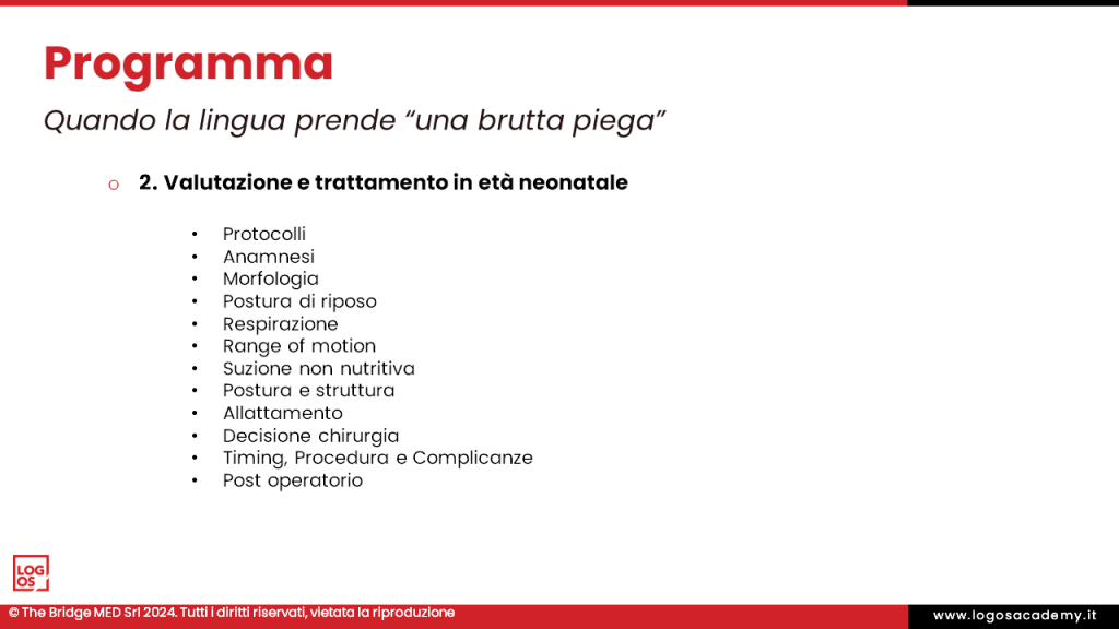 Diapositiva2