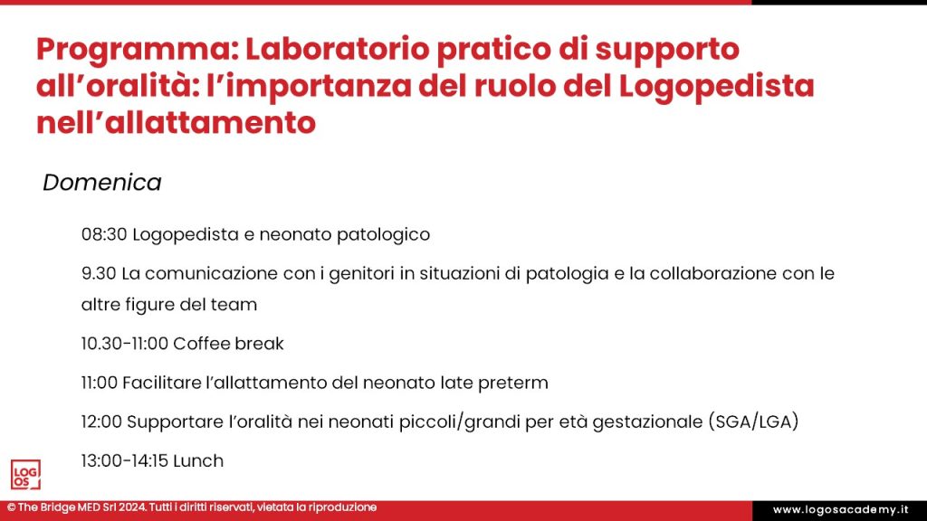 Diapositiva3