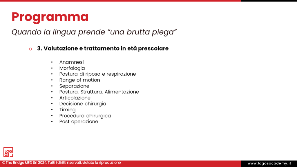 Diapositiva3