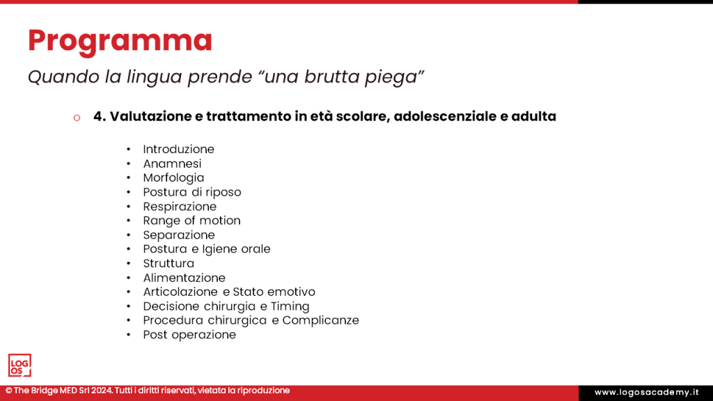 Diapositiva4